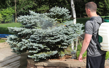 Benefits of a Backpack Sprayer